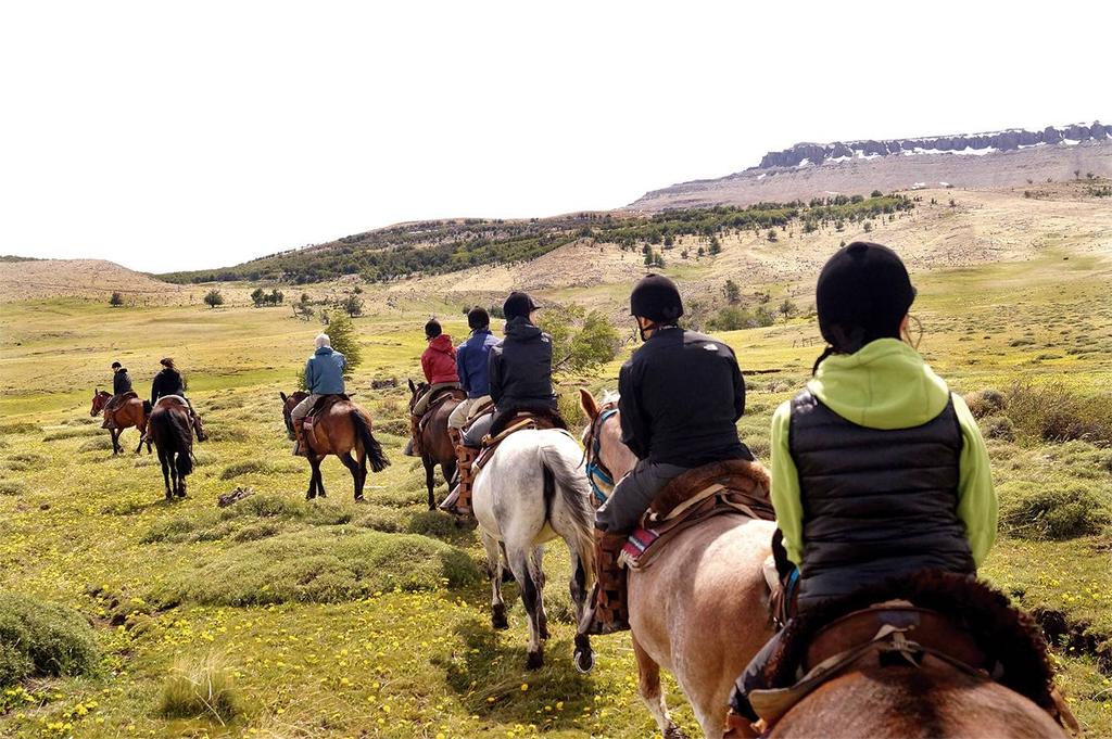 23.- Horseback riding through the pampa EXTRAS RECOMMENDED Departure: subject to availability Ride length: 3 hrs Difficulty level: medium Route distance: 5,5 km Initial latitude: 100 masl Maximum