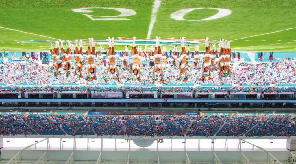 PARTNERSHIPS MIAMI DOLPHINS The Miami Dolphins welcomed Venice magazine into its family, placing our publication in the luxury skyboxes and at its special events throughout the region.