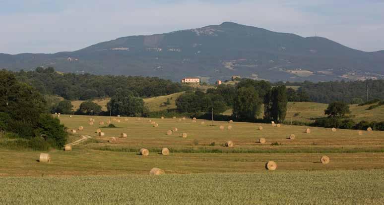 ESTATE The Poggiovalle Estate, covers about 1000 hectares in the municipality of Città della Pieve and