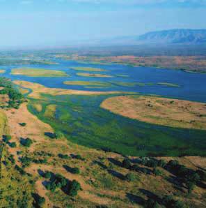Along with saltpans, acacia scrub and grasslands the Park supports an enormous abundance of wildlife.