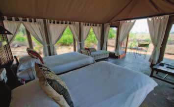 comprising a lounge and dining room, offers a wonderful bush experience.