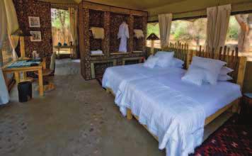 The camp is set amongst broad-canopied ana trees, much loved by the elephants for their rich nutritious seeds.