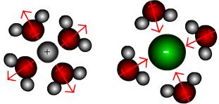 Slika 1: Interakcija med ioni in električnimi dipolnimi momenti [2]. El. dipolni moment vode je označen z rdečo puščico.