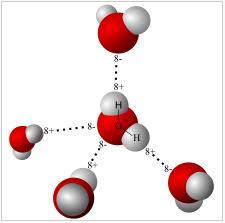 a) b) Slika 3: a) Shematski prikaz vodikovih vezi (črtkana črta) med molekulama vode; polne črte kovalentne vezi, O atom kisika, H atom vodika [4]. b) Vodikova vez med molekulami vode [5].