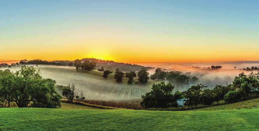 HUNTER VALLEY WELCOME TO THE CENTRAL COAST, PORT STEPHENS AND HUNTER VALLEY Beautiful beaches, fabulous food and wine, relaxed country life plus plenty of adventure this fun-packed itinerary will