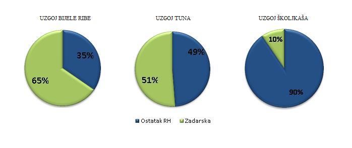 U 2010. godini Zadarska županija sudjeluje sa 65% u ukupnoj proizvodnji bijele ribe RH, 51% u ukupnoj proizvodnji tuna, dok u uzgoju školjkaša sudjeluje tek s 10% (Graf 22.). Graf 22.
