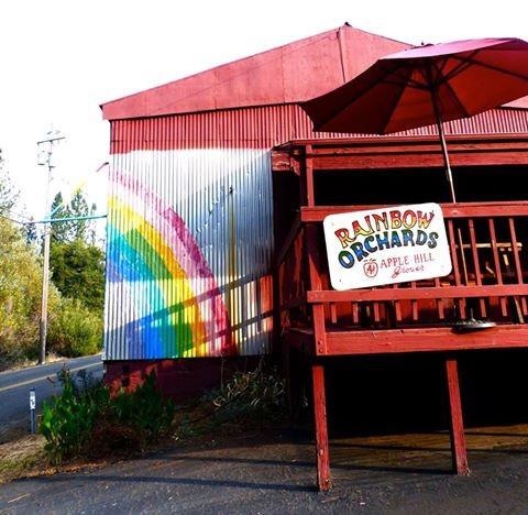 RAINBOW in the race? Strange noises, motor noises, have been coming from one of the barns at RAINBOW OR- CHARDS.