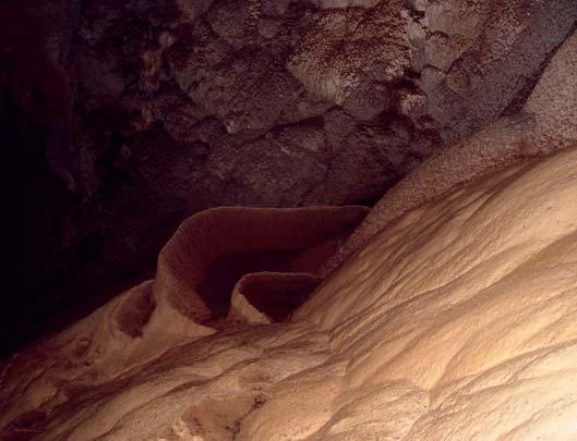 Najve}e `ivotinjske skupine troglobionata (kopnene podzemne `ivotinje) jesu kornja{i, la`i{tipavci, pauci, pu`evi i stonoge. Me u stigobiontima (vodene podzemne `ivotinje) dominiraju rakovi.