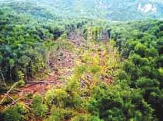 190 Izvješće o stanju okoliša u Bosni i Hercegovini 2012 Slika 136: Veliko klizište u Bogatićima (2010) koje je uništilo hidroelektranu i dio šume Slika 136 prikazuje klizište površine 250.