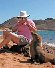 A Typical Day in the Enchanted Galápagos Islands One of the most important aspects of our Galápagos expedition is flexibility.