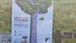 15. Kauri Dieback Advocacy at Events 2 volunteers for up to 20 half or full day events Kauri Dieback disease is killing our native kauri. It spreads by soil movement, but we can help prevent it.