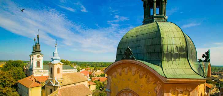 3. SREMSKI KARLOVCI, INĐIJA A GLORIOUS CULTURAL CENTRE Wine-growing Hills on the Danube River Banks The Bishop s Palace and the Orthodox Cathedral Church The High School of Karlovci, the oldest one