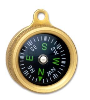 wristwatch compass, a