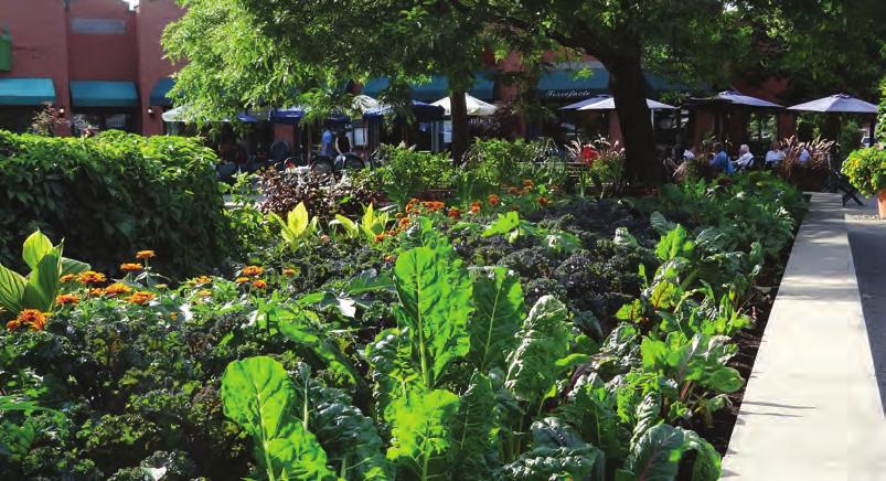 First municipality to establish an urban agriculture policy in 2017.