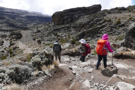 However, the summit day is long and is at high altitude, so team members do need to exercise regularly and be capable of walking on uneven terrain.