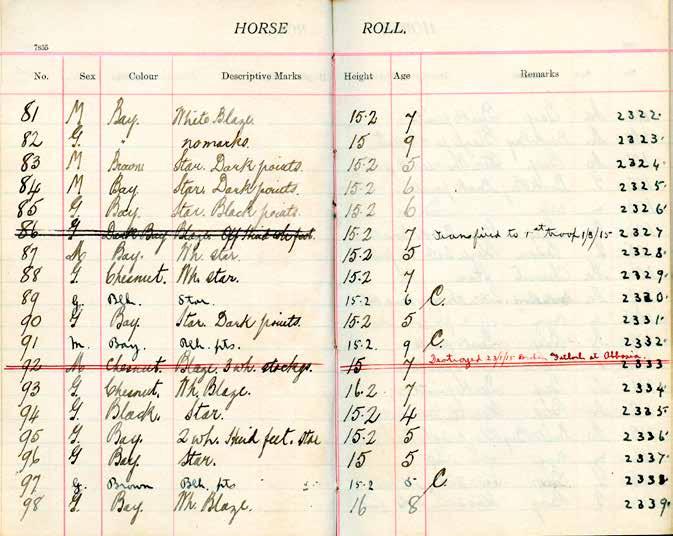 Extract from John s notebook with details of some of the horses which left with the Canterbury Mounted Rifles in 1914.