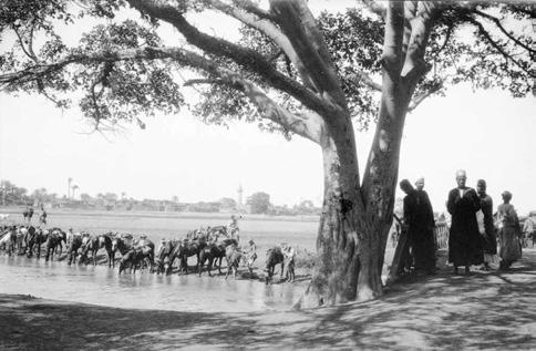 Horses watering while curious locals look on. John Barker travelled to Damascus and Beirut during May and June and Jerusalem in July 1919.