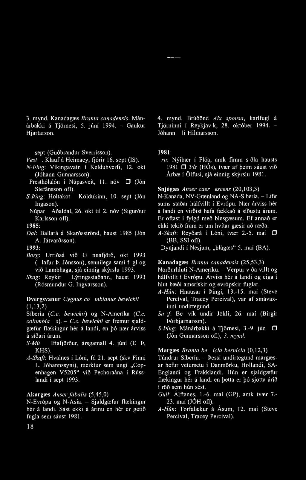 3. mynd. Kanadagæs Branta canadensis. Mánárbakki á Tjörnesi, 5. júní 1994. - Gaukur Hjartarson. 4. mynd. Brúðönd Aix sponsa, karlfugl á Tjörninni í Reykjavík, 28. október 1994.