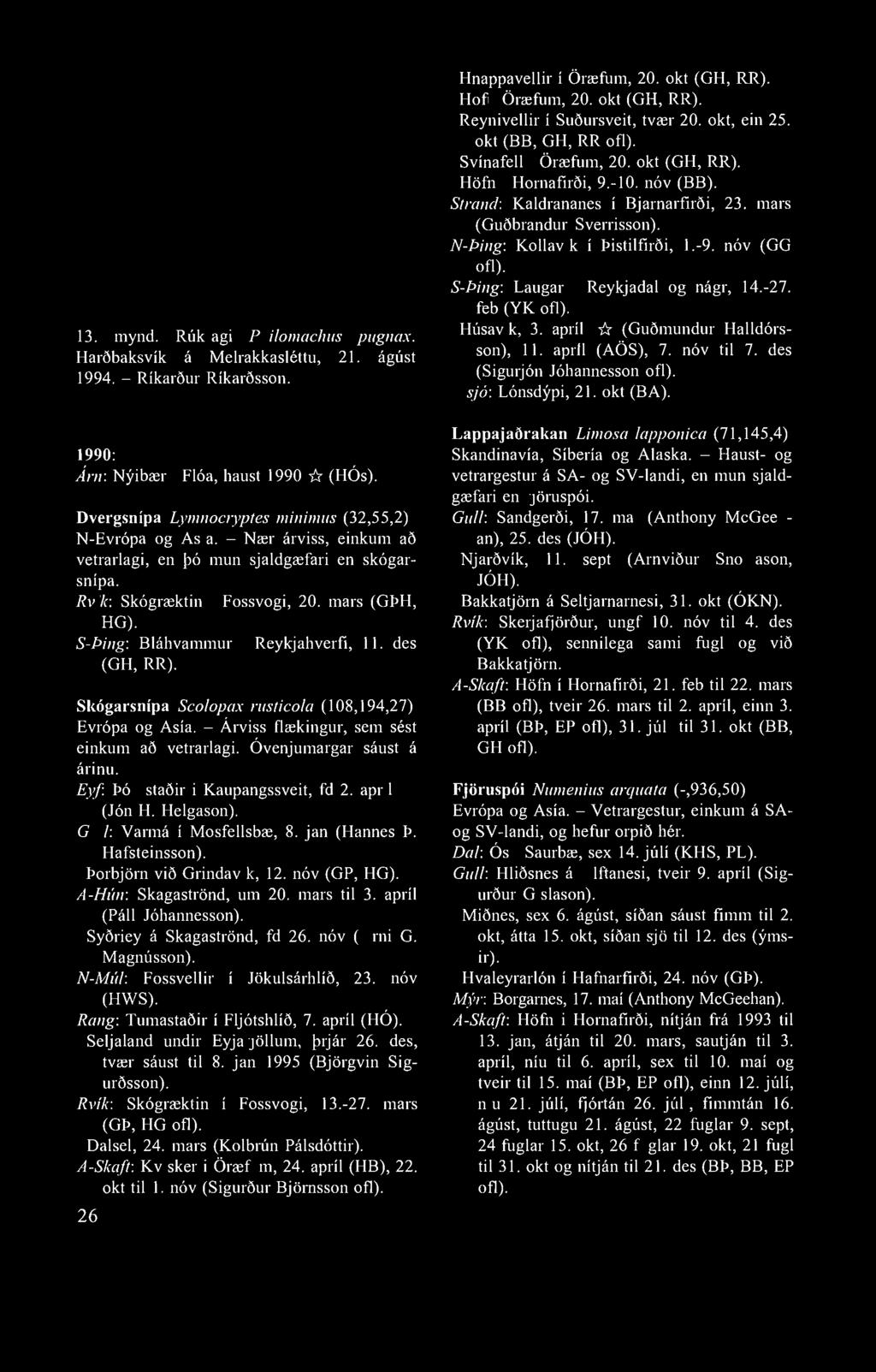13. mynd. Rúkragi Philomachus pugnax. Harðbaksvík á Melrakkasléttu, 21. ágúst 1994. - Ríkarður Ríkarðsson. 1990: Árn: Nýibær í Flóa, haust 1990 -fr (HÓs).