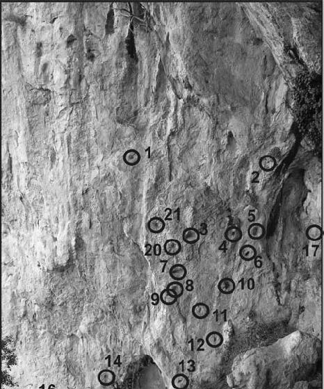 PRÉS DU BORD DUN ABRI / ON SHELTERS LEDGE 16.1 The eastern cliffs of the Lovranska Draga Canyon. 1. Oporovina Cave; 2. Abri Cisterna; 3.