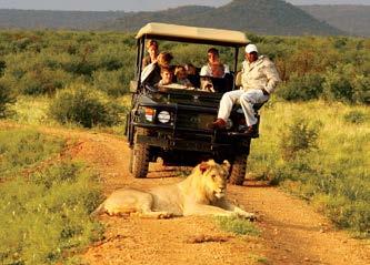 Predominantly grasslands and bushveld, intermingled with lone mountains and rocky outcrops, the Reserve is