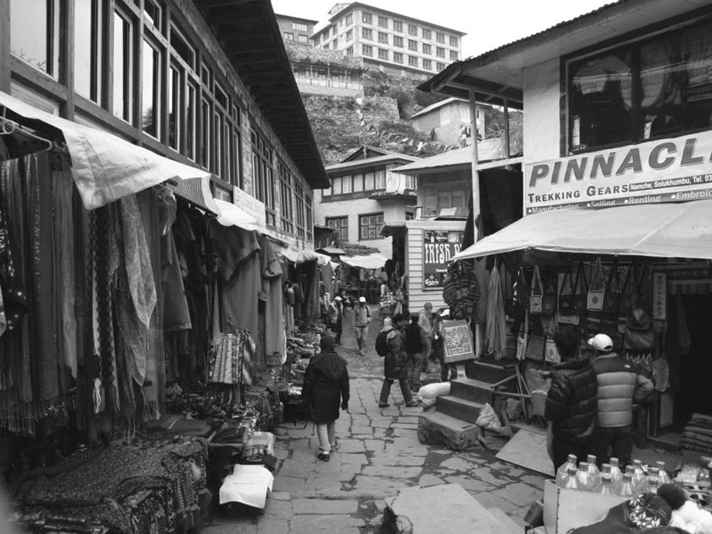 Tourism and Change in Nepal s Mt Everest Region 291 Fig. 27.5. Downtown Namche Bazaar, with its colourful shops, Irish pub and lodges (Photograph courtesy of Sanjay Nepal, 2012).