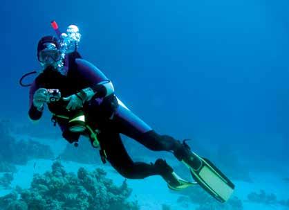 Instructors level but also for those who are already qualified scuba divers that are looking to join in on some fun dives. Tel: +27 (0) 41 581 5121 Mobile: +27 (0) 61 076 4113 Email: dive@mtcpe.co.