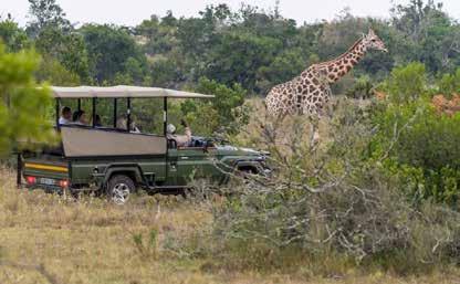 Refer to website for latest offer Kwantu Game Reserve Kwantu offers a once in a lifetime wildlife experience, including the famed African Big 5.