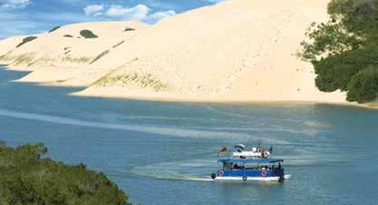 Activities Offers and Sightseeing Addo River Safari s Discover the secrets of the beautiful Sundays River, bordering the Addo Elephant National Park.