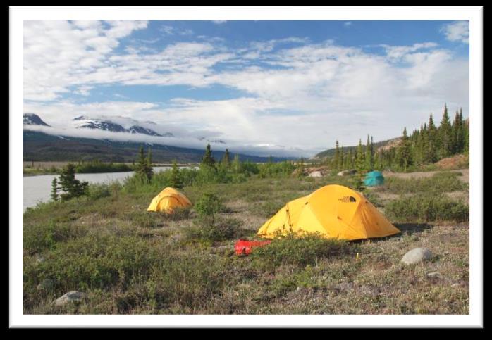 FOR MORE INFORMATION CONTACT: Kluane National Park & Reserve Box 5495 Haines Junction, Yukon Y0B 1L0 CANADA Phone: (867) 634-7250 Fax: (867) 634-7208 Web site: www.pc.gc.