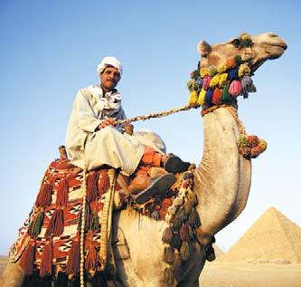Journey by camel to a Coptic monastery. Visit King Tut s tomb and the Valley of the Kings. Relax on the Red Sea in Sharm el Sheikh and visit St.