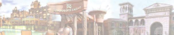 GAUTENG Montecasino Gold Reef City Emperors Palace Carnival City Emerald Safari Resort Gauteng Current number of casinos: 5 Proposed number of casinos 6 Casino employees 11 617 Casino employee wages