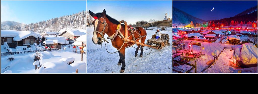 (Breakfast/Lunch/Dinner) After breakfast, enjoy a ride on a horse-drawn sledge from Yabuli Ski Resort. After lunch, head to Snow Town, a fairytale-like yard where the snow is natural and pristine.