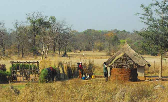 Slika 5: Podnebne spremembe utegnejo huje prizadeti lokalno oskrbo s hrano in splošno prehransko varnost Afrike (foto: Katja Vintar Mally).
