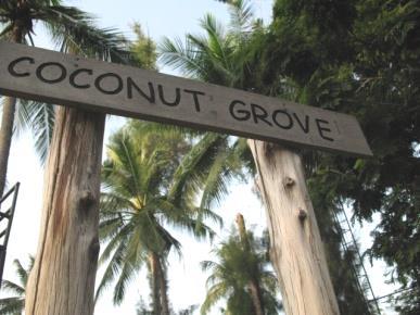 Coconut Grove Activities The Coconut Grove is one of our main activity centers.