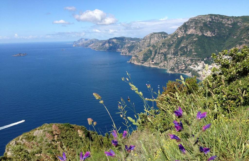 Highlights of the Amalfi Coast & the Sorrento Peninsula Amalfi, Ravello, Sentiero degli Dei, Positano &