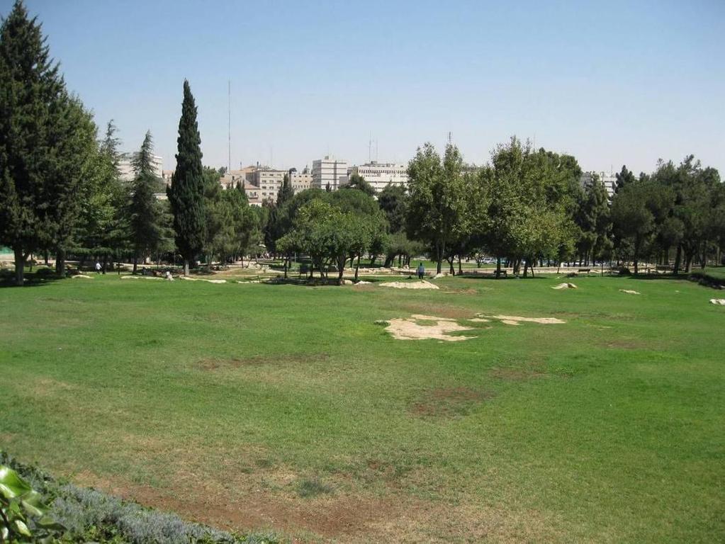 Political and Economic Challenges In the course of the 20 th Century, the cemetery was damaged due to its location at the heart of West Jerusalem s central business area.