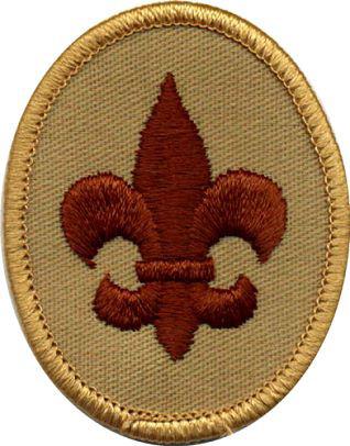 Trailblazer Program 8:30 9:30 10:30 1:30 2:30 3:30 Not completed at Camp/Comment Pathfinder 16 16 16 Focus on Scout and Tenderfoot Requirements Voyager 16 16 16 Focus on Second Class Requirements