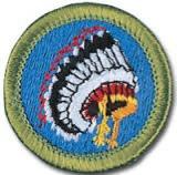 Participate in merit badge programs by taking American Cultures and American Heritage and learn about the variety of cultures that exist in America today