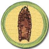 Scouts taking these merit badges will have the chance to dive into the history of ancient peoples, and also dig up some of the relics they have left