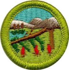 In Wilderness Survival Scouts will learn about survival techniques that they can use in the real life, and have the chance to put what they have learned