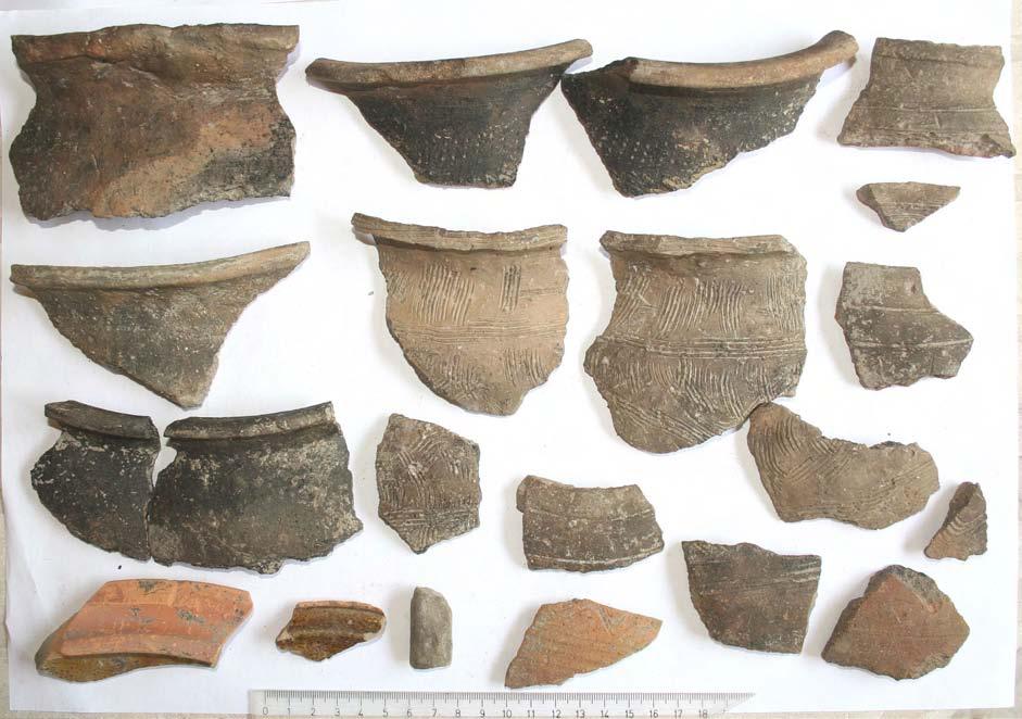 Sl. 11 Keramika iz objekta SJ 631, datiranog u 8. stoljeće (snimila: T. Tkalčec). Fig. 11 Pottery from SU 631, attributed to 8th c. (photo: T. Tkalčec). Sl.