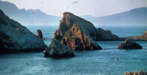 The Ballestas Islands are a group of small islands near the town of Paracas located within the Paracas District of the Pisco Province in the Ica Region, on the south coast of Peru.