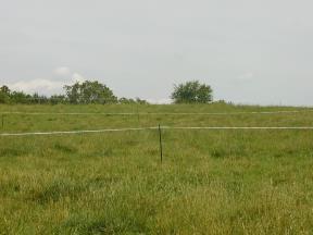 Species 6-8 Typical all-around livestock fence Sturdy enough for horses Horses can get hooves through and walk down the fence Woven Wire Portable Fencing Great for rotational grazing