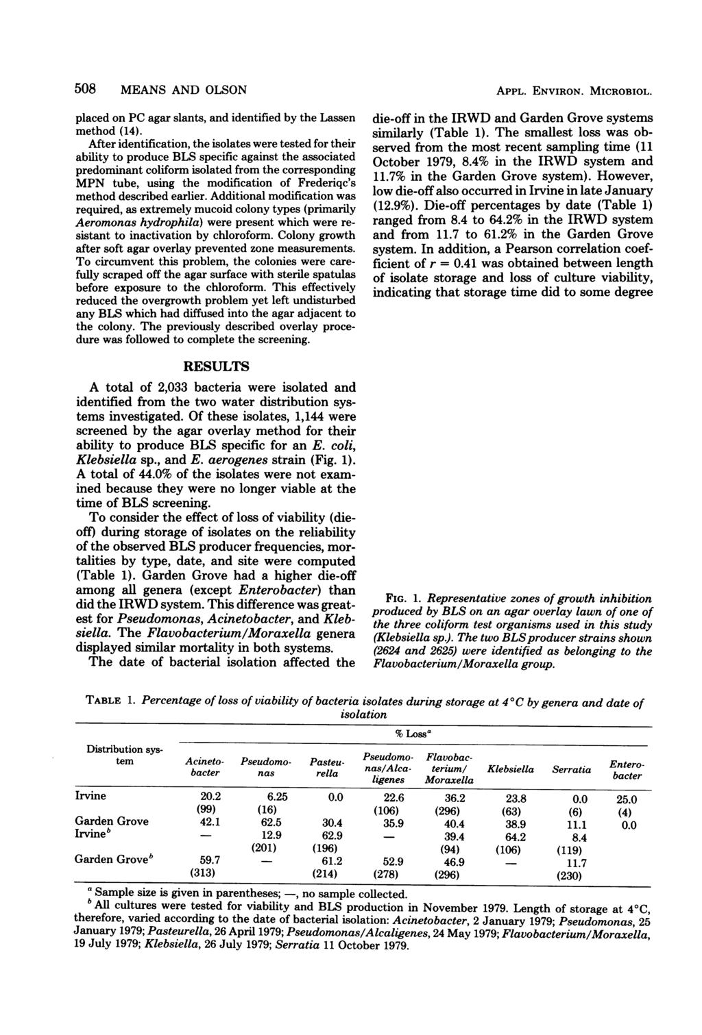 508 MEANS AND OLSON placed on PC agar slants, and identified by the Lassen method (14).