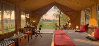 Bordering the Sand River, the Camp is ideally located for the crossing of the annual wildebeest migration and for the year-round wildlife spectacle that the Reserve is famed for.