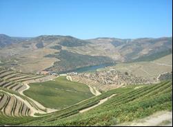 Douro s natural patrimony. Lagoa das Sete Cidades, scenery of natural beauty and mystery, is located on S.