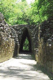 Other structures in Calakmul, distributed around patios and plazas, are called palaces, two-story buildings with long passageways that may have been inhabited by the elites.