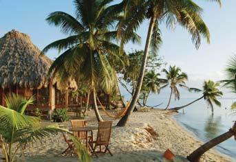Turtle Inn, Belize Brightly coloured hammock lung between lanted palm tree, thatched beach hut and the un-parkled water of the Caribbean are at the