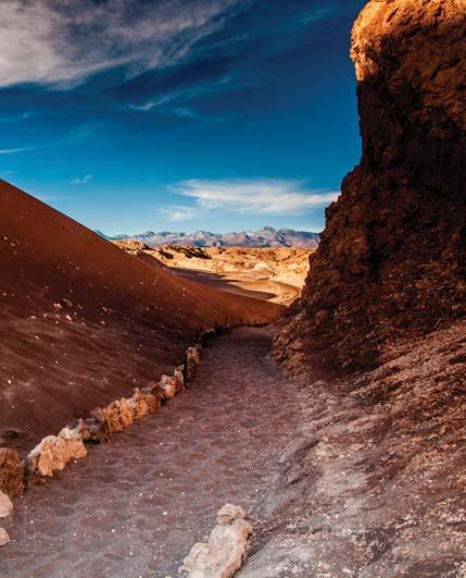 Adventure in the wild of Chile Awai Atacama Tailor-made